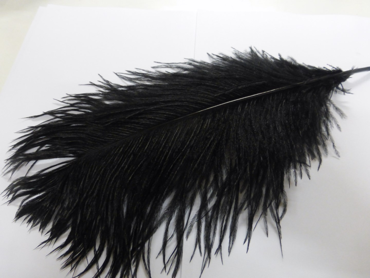 Ostrich Feather Large Black